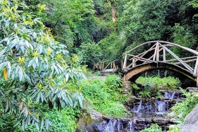 Jibhi Water Falls